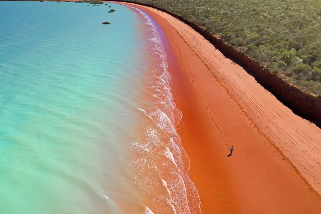 Find Local Western Australian Businesses and go into our Giveaways & Competitions draws